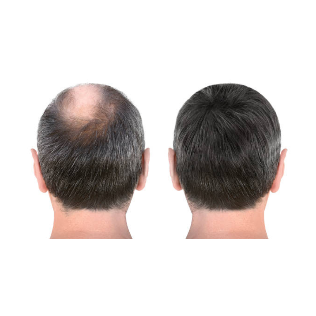 Hollywood Hair Wigs
